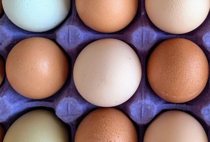 Nine eggs in cardboard box