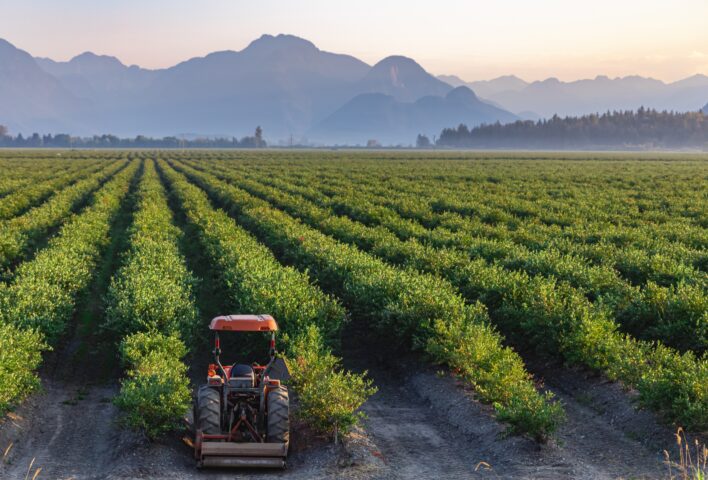 farming fruit