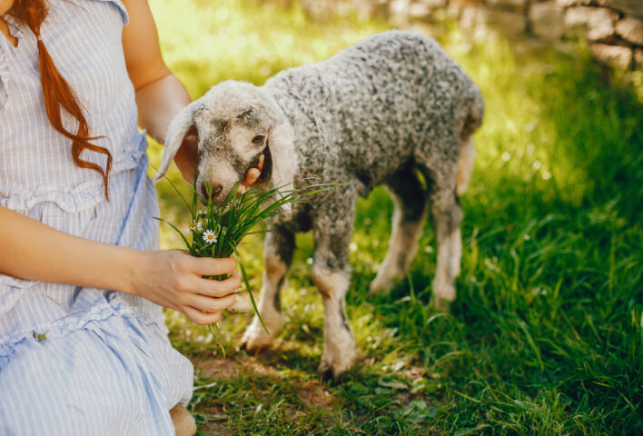World Kindness Day